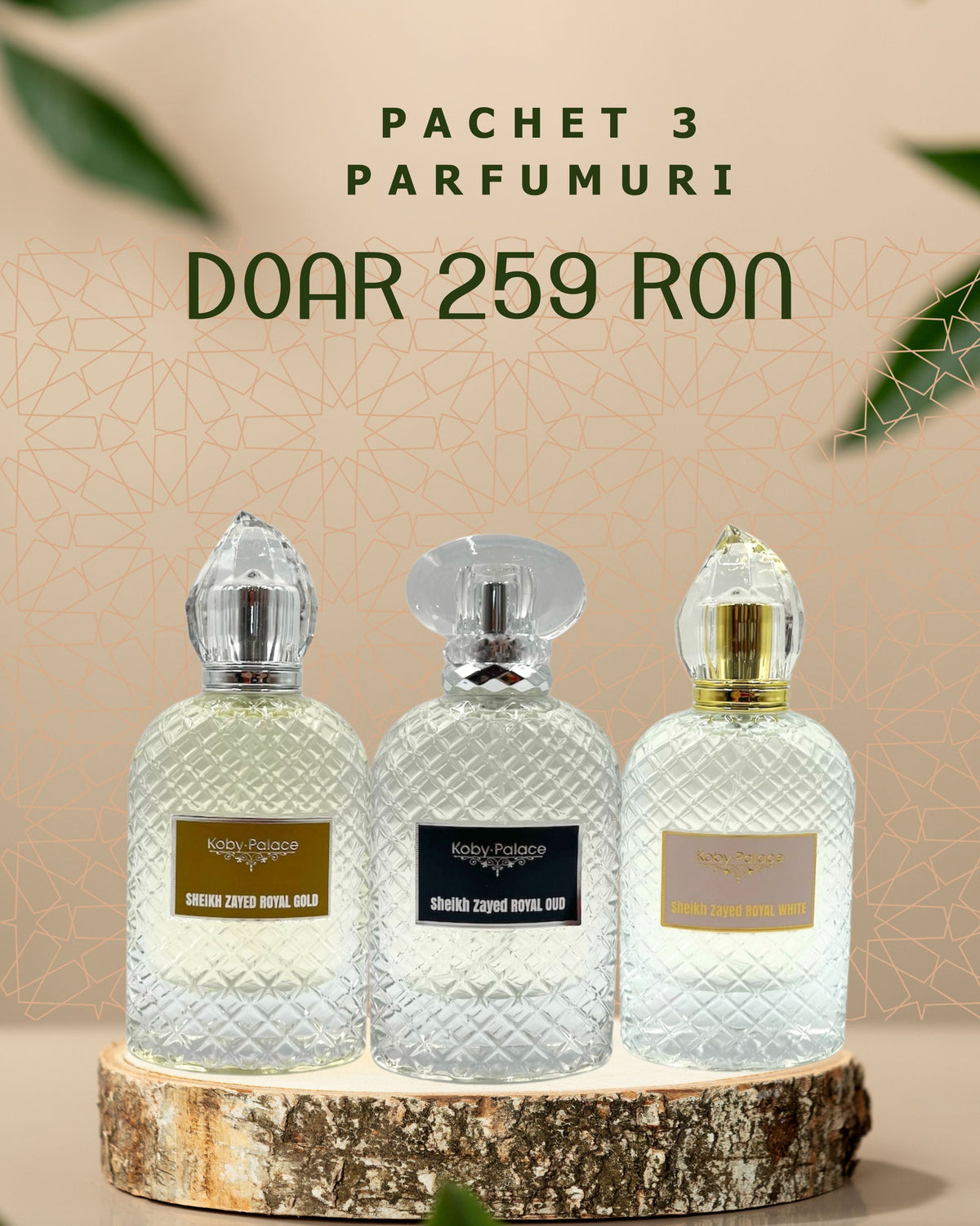 SHEIKH ZAYED Box: OFERTA 3 parfumuri, 100 ml fiecare, apa de parfum