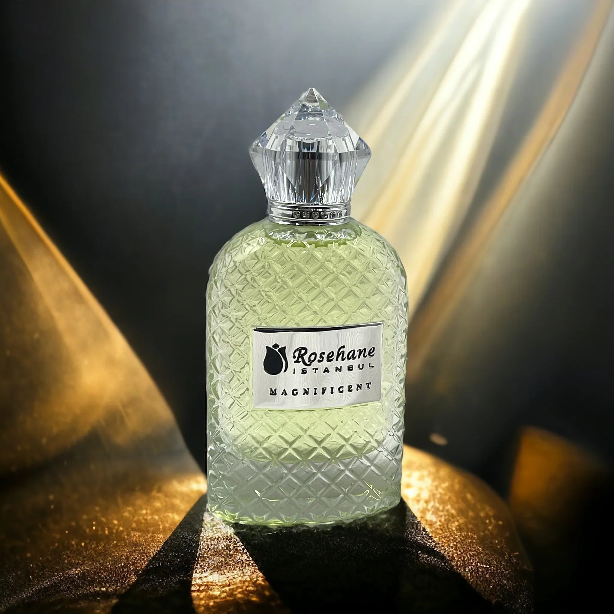 Apa de parfum MAGNIFICENT,  inspirat de Oud Royal de la Armani Prive, 100 ml
