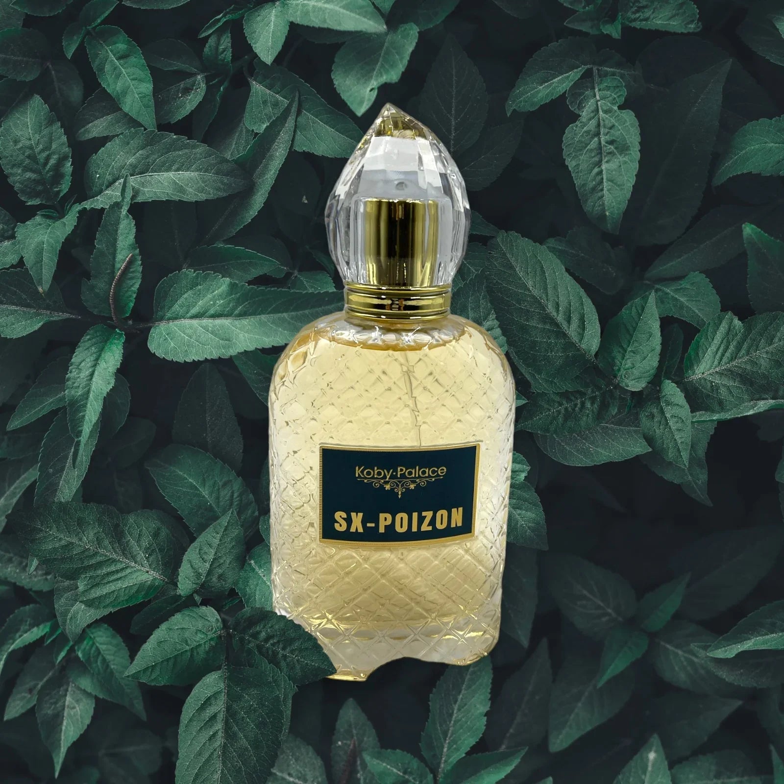 Apa de parfum SX-POIZON, inspirat de Scandal de Jean Paul Gautier, 100 ml