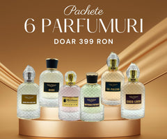 SIX PACK Box: OFERTA 6 parfumuri, 100 ml fiecare, apa de parfum