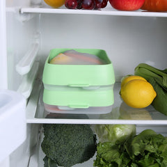Recipient de Depozitare Alimente, Flippy, Etans, pentru Frigider, din Plastic, Mentinere Proaspata, Reutilizabil, Rezistent la Temperaturi Extreme, 22x14.7x5 cm, Verde